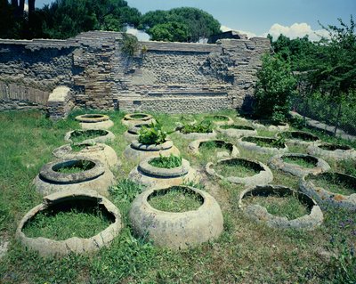 Veduta dei negozi da Roman